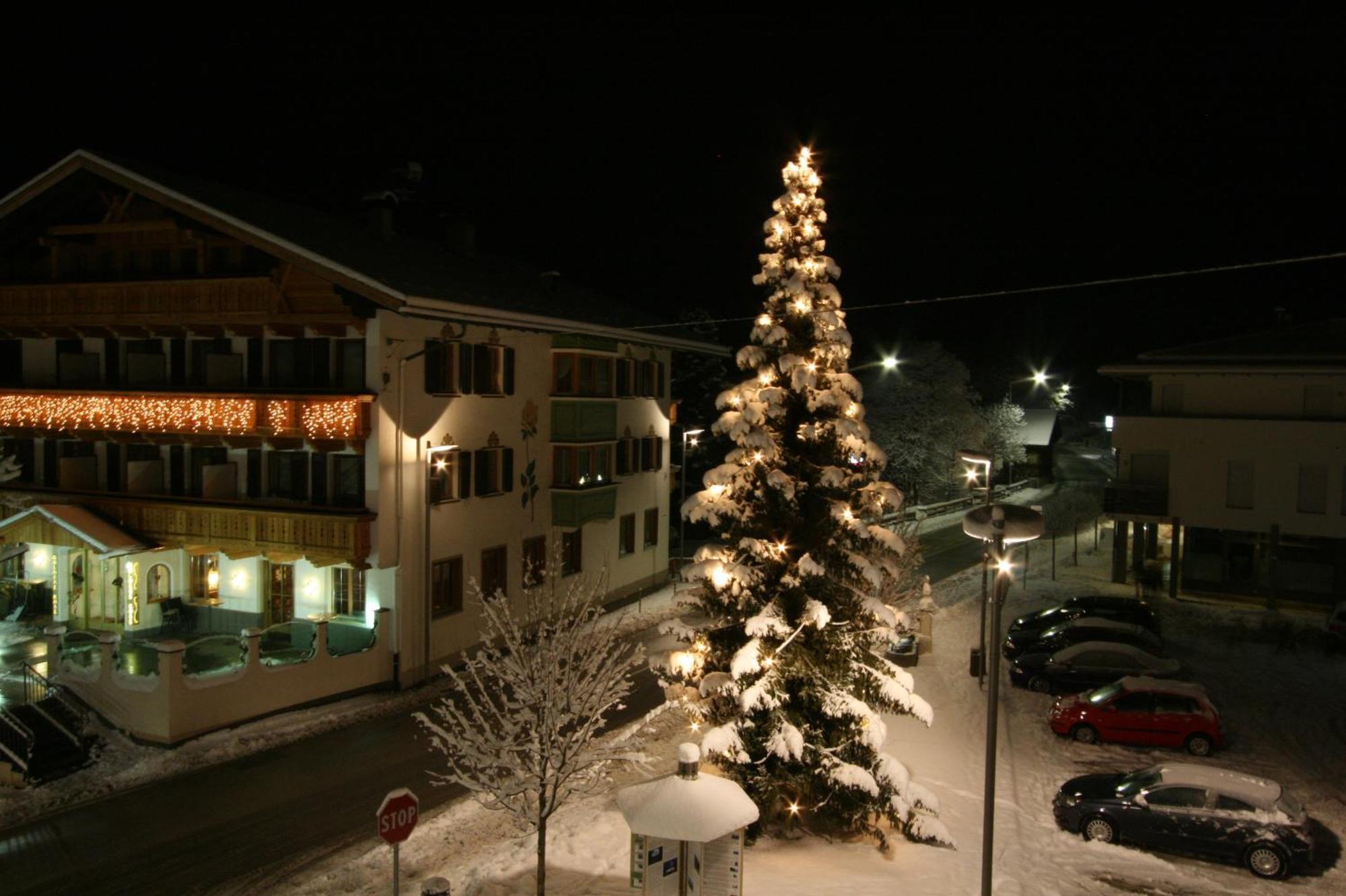 Hotel Goldene Rose 3*