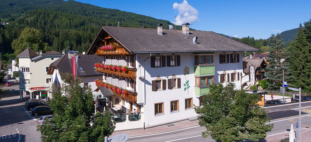 Goldene Rose 3* Weisberg-Taisten